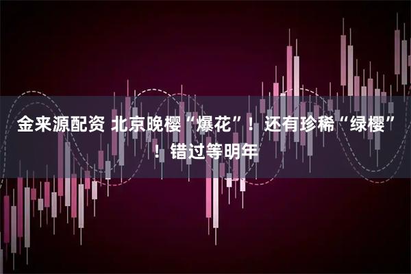 金来源配资 北京晚樱“爆花”！还有珍稀“绿樱”！错过等明年