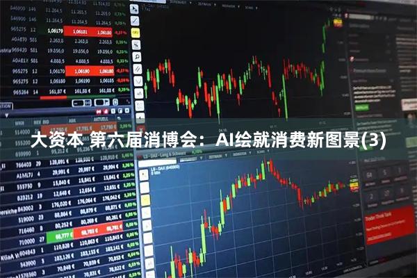 大资本 第六届消博会：AI绘就消费新图景(3)